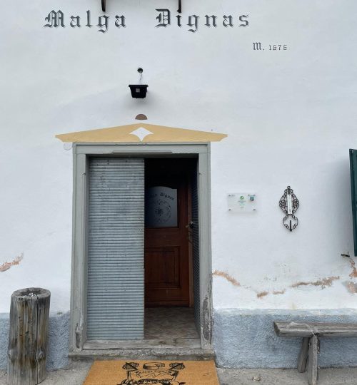 443734935_122115617732281875_8771961065753373690_n