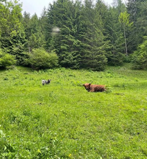 446276999_323315260810858_3953245923934721487_n