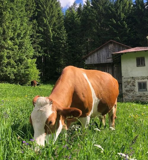 446832922_470561602125037_4254924654730377203_n